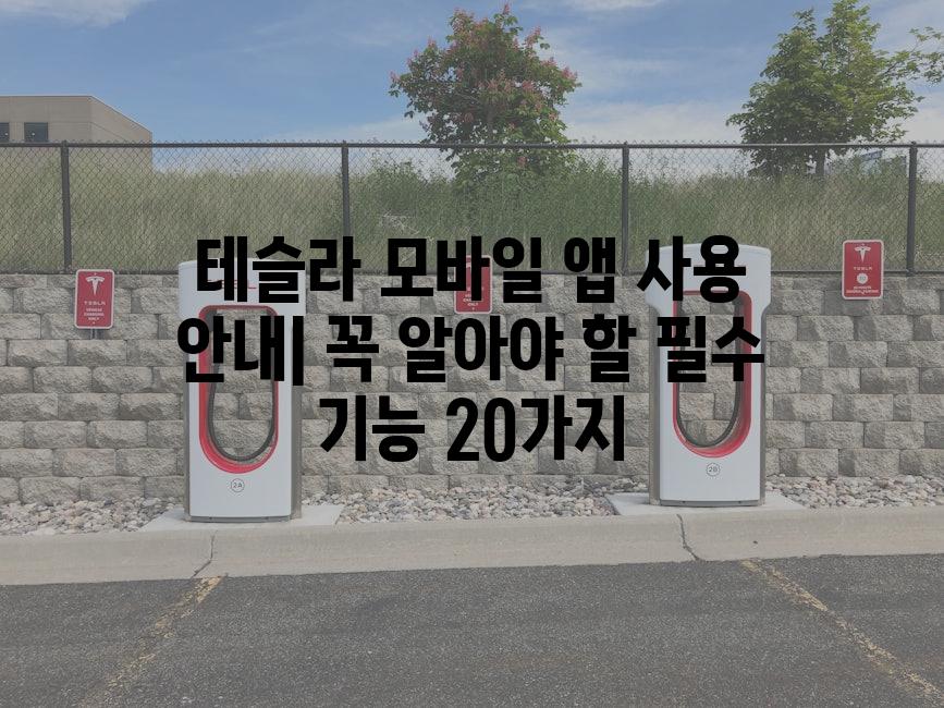 이미지_설명