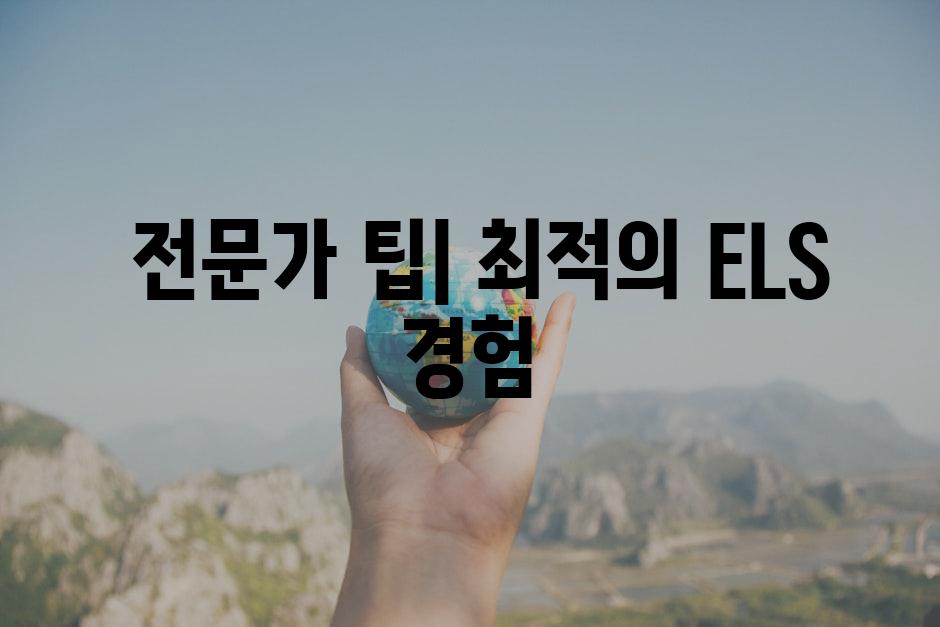  전문가 팁| 최적의 ELS 경험