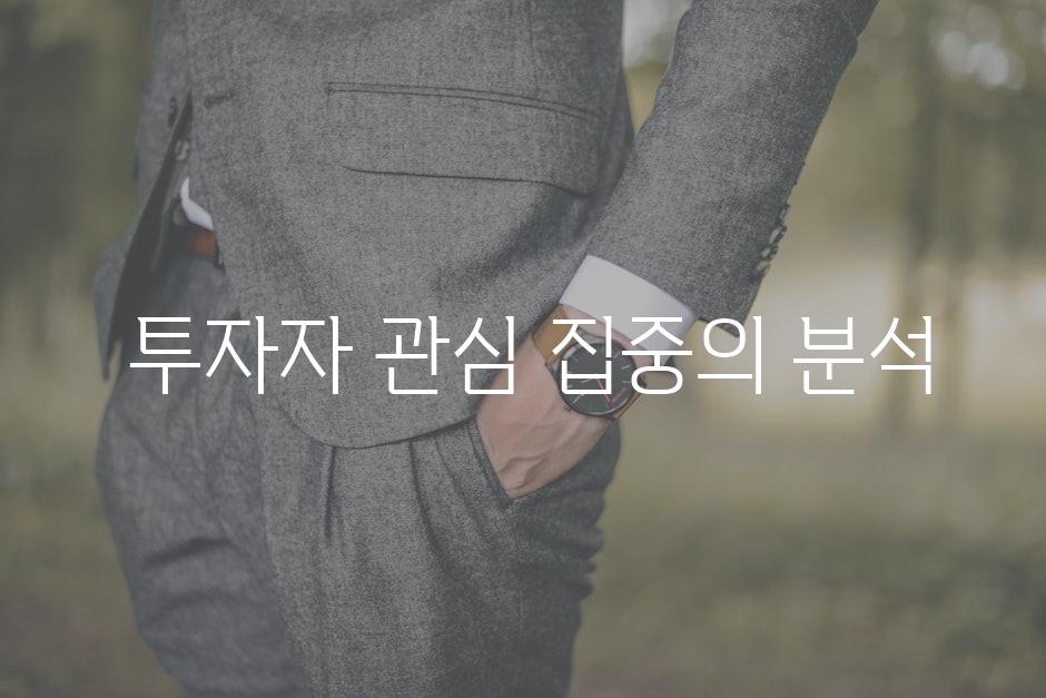  투자자 관심 집중의 분석