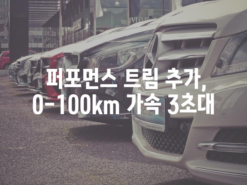  퍼포먼스 트림 추가, 0-100km 가속 3초대