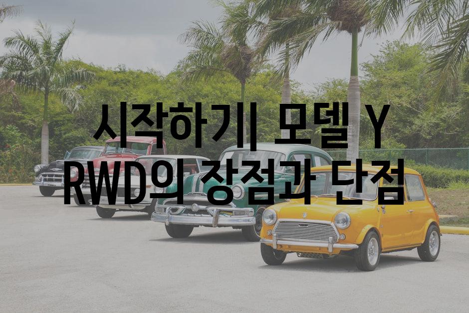  시작하기| 모델 Y RWD의 장점과 단점