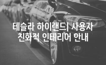 테슬라 하이랜드| 사용자 친화적 인테리어 안내