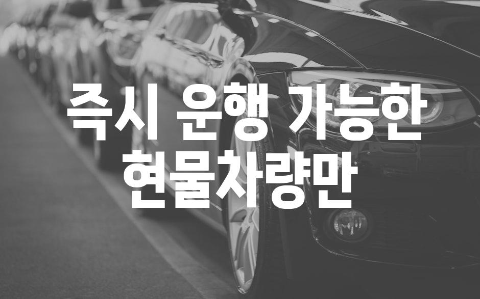  즉시 운행 가능한 현물차량만