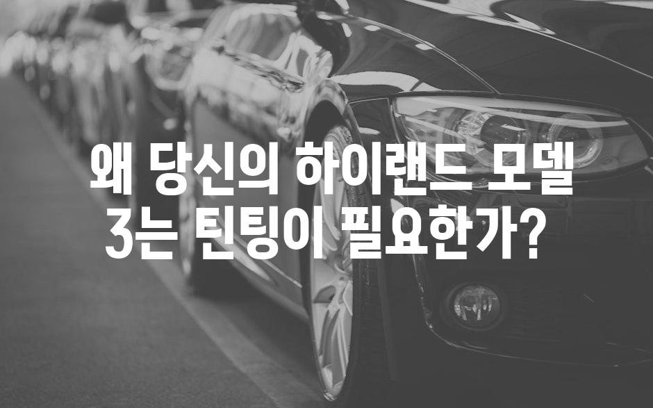  왜 당신의 하이랜드 모델 3는 틴팅이 필요한가?