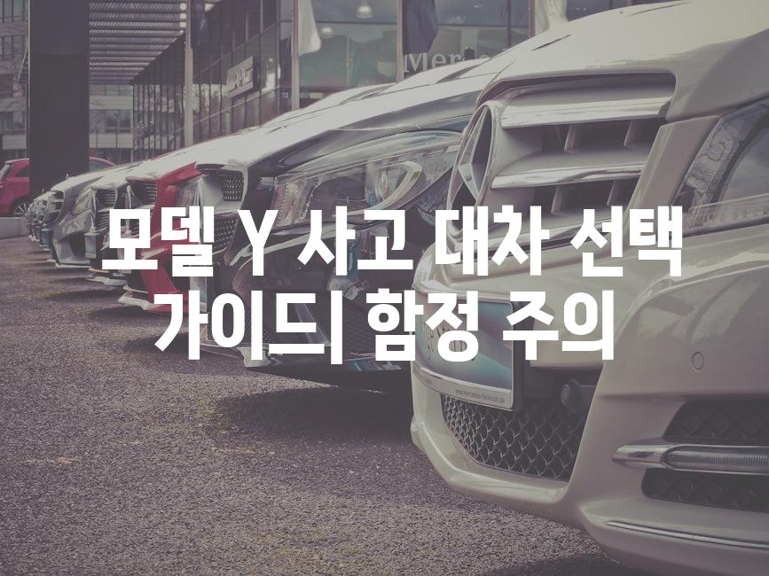  모델 Y 사고 대차 선택 가이드| 함정 주의