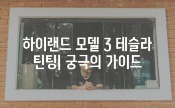 하이랜드 모델 3 테슬라 틴팅| 궁극의 가이드