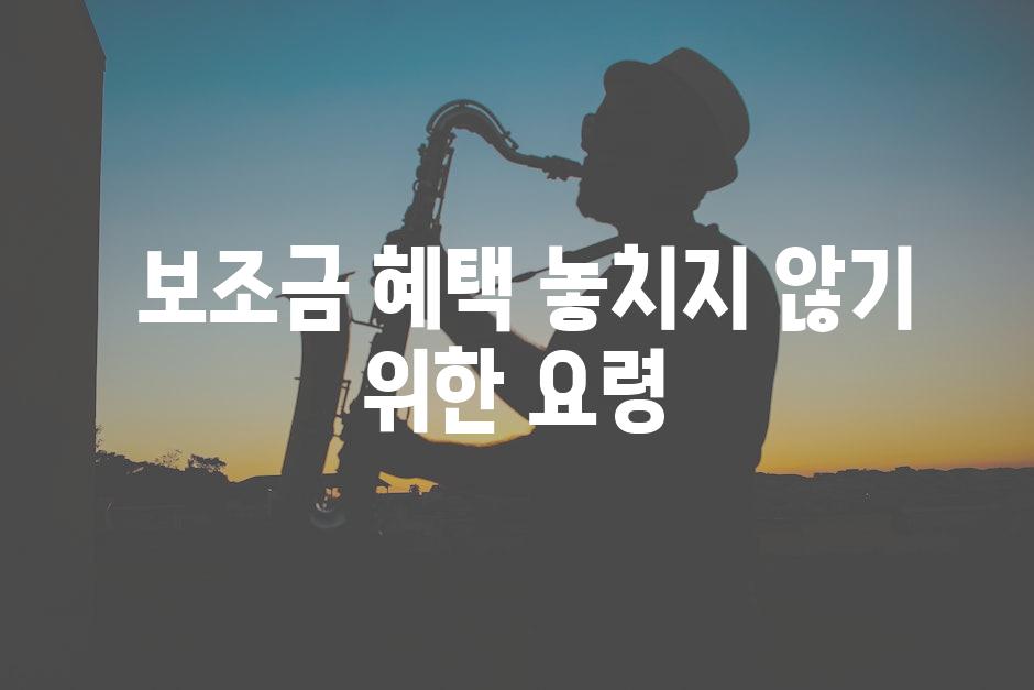  보조금 혜택 놓치지 않기 위한 요령