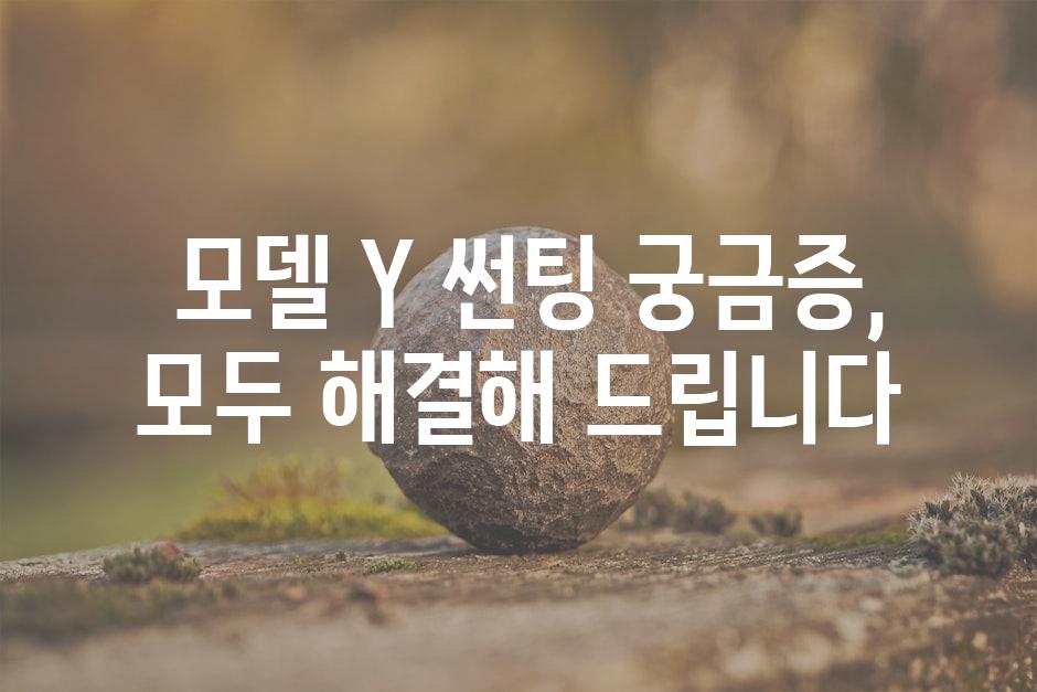  모델 Y 썬팅 궁금증, 모두 해결해 드립니다