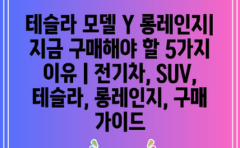 테슬라 모델 Y 롱레인지| 지금 구매해야 할 5가지 이유 | 전기차, SUV, 테슬라, 롱레인지, 구매 가이드