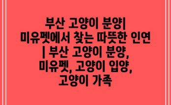 부산 고양이 분양| 미유펫에서 찾는 따뜻한 인연 | 부산 고양이 분양, 미유펫, 고양이 입양, 고양이 가족