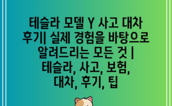 테슬라 모델 Y 사고 대차 후기| 실제 경험을 바탕으로 알려드리는 모든 것 | 테슬라, 사고, 보험, 대차, 후기, 팁