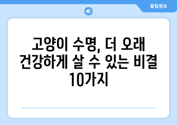 고양이 수명 연장의 비밀| 평균 수명을 늘리는 10가지 방법 | 고양이 건강, 장수, 수명, 건강 관리, 팁