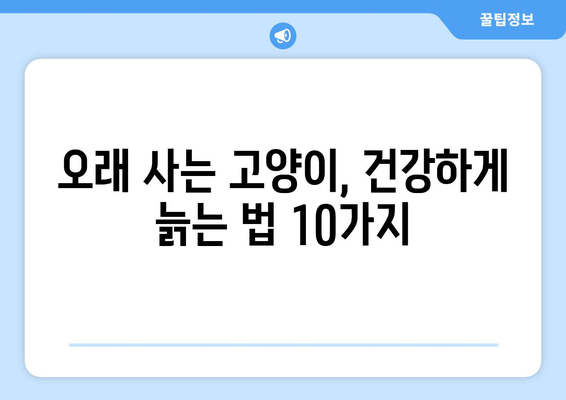 고양이 수명 연장의 비밀| 평균 수명을 늘리는 10가지 방법 | 고양이 건강, 장수, 수명, 건강 관리, 팁