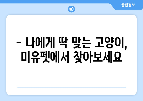 부산 고양이 분양| 미유펫에서 찾는 따뜻한 인연 | 부산 고양이 분양, 미유펫, 고양이 입양, 고양이 가족