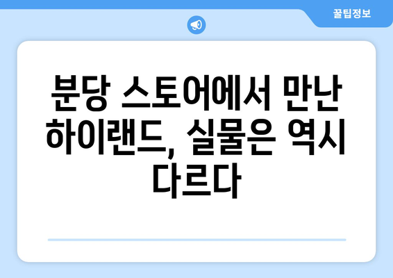 테슬라 모델 3 하이랜드 신형| 분당 스토어 전시장 방문 후기 | 실물 영접, 디자인 & 주행 성능 리뷰