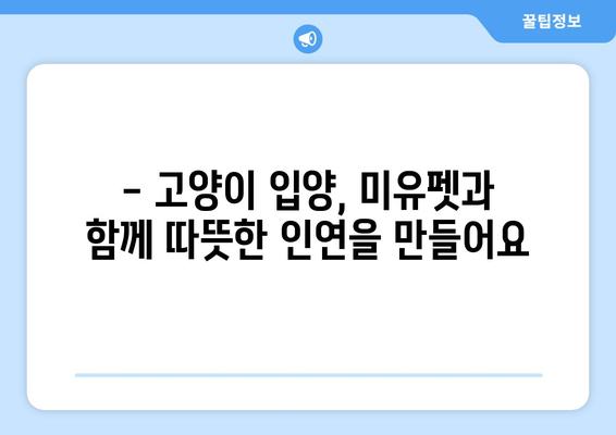 부산 고양이 분양| 미유펫에서 찾는 따뜻한 인연 | 부산 고양이 분양, 미유펫, 고양이 입양, 고양이 가족