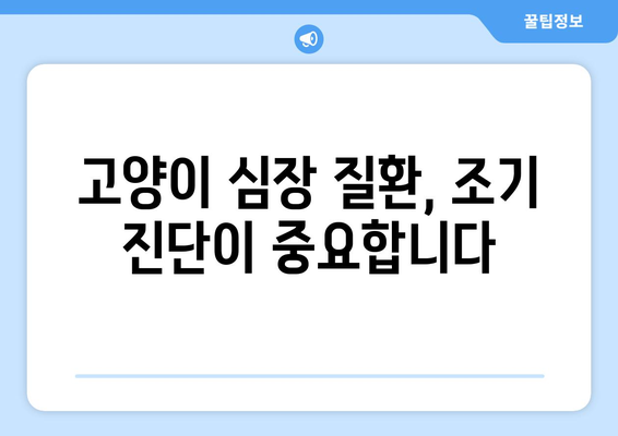 고양이 심장 질환, 수의사가 알려주는 진단과 치료 | 고양이 건강, 심장병, 수의사 상담