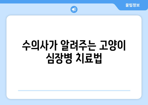 고양이 심장 질환, 수의사가 알려주는 진단과 치료 | 고양이 건강, 심장병, 수의사 상담