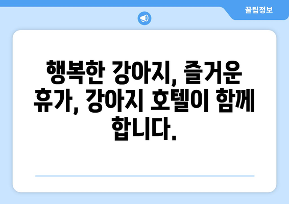 강아지 호텔, 안락한 휴가를 위한 완벽한 선택 | 아늑한 강아지의 휴가처| 강아지 호텔의 안락한 체류