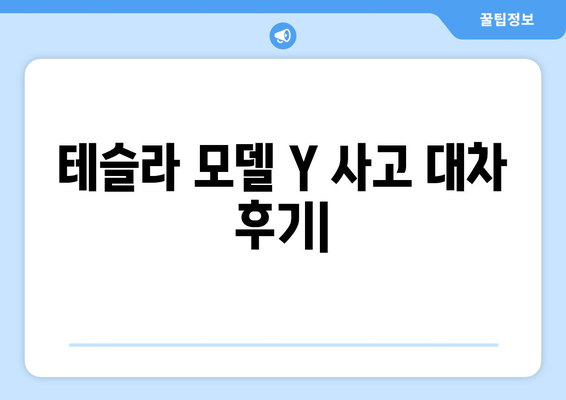 테슬라 모델 Y 사고 대차 후기| 실제 경험을 바탕으로 알려드리는 모든 것 | 테슬라, 사고, 보험, 대차, 후기, 팁