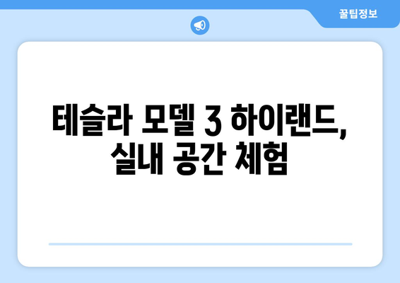 테슬라 모델 3 하이랜드 신형| 분당 스토어 전시장 방문 후기 | 실물 영접, 디자인 & 주행 성능 리뷰