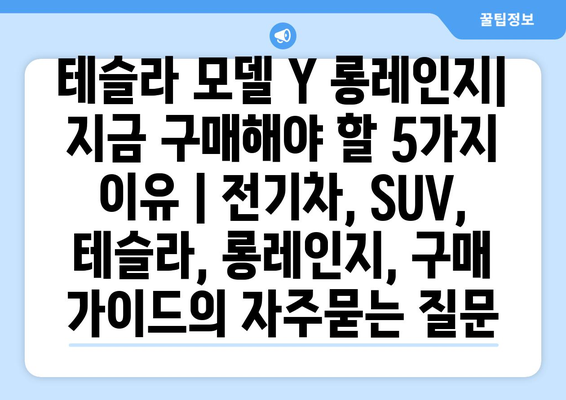 테슬라 모델 Y 롱레인지| 지금 구매해야 할 5가지 이유 | 전기차, SUV, 테슬라, 롱레인지, 구매 가이드