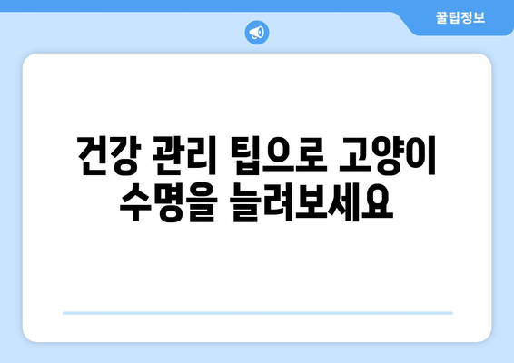 고양이 수명 연장의 비밀| 평균 수명을 늘리는 10가지 방법 | 고양이 건강, 장수, 수명, 건강 관리, 팁