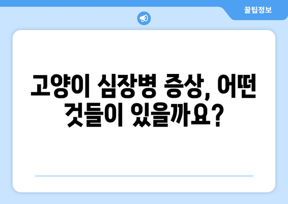 고양이 심장 질환, 수의사가 알려주는 진단과 치료 | 고양이 건강, 심장병, 수의사 상담