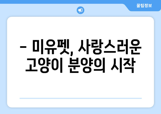 부산 고양이 분양| 미유펫에서 찾는 따뜻한 인연 | 부산 고양이 분양, 미유펫, 고양이 입양, 고양이 가족