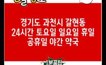 경기도 과천시 갈현동 24시간 토요일 일요일 휴일 공휴일 야간 약국