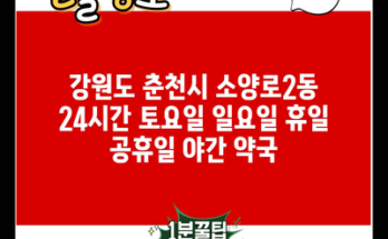 강원도 춘천시 소양로2동 24시간 토요일 일요일 휴일 공휴일 야간 약국