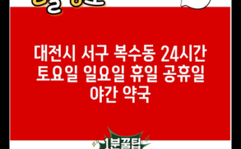 대전시 서구 복수동 24시간 토요일 일요일 휴일 공휴일 야간 약국