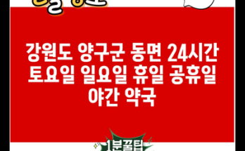 강원도 양구군 동면 24시간 토요일 일요일 휴일 공휴일 야간 약국