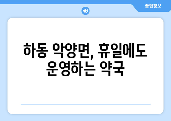 경상남도 하동군 악양면 24시간 토요일 일요일 휴일 공휴일 야간 약국