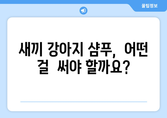 새끼 강아지 목욕, 이렇게 하면 성공! 🛁🐶 | 애견 목욕 비법, 새끼 강아지 샤워 주의사항, 강아지 목욕 팁