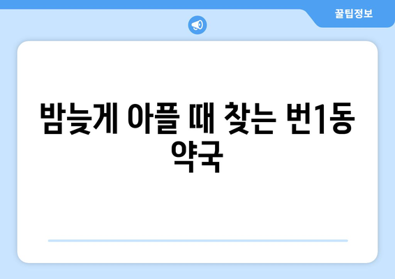 서울시 강북구 번1동 24시간 토요일 일요일 휴일 공휴일 야간 약국