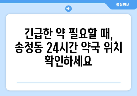 서울시 성동구 송정동 24시간 토요일 일요일 휴일 공휴일 야간 약국