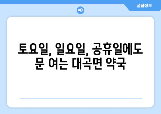 경상남도 진주시 대곡면 24시간 토요일 일요일 휴일 공휴일 야간 약국