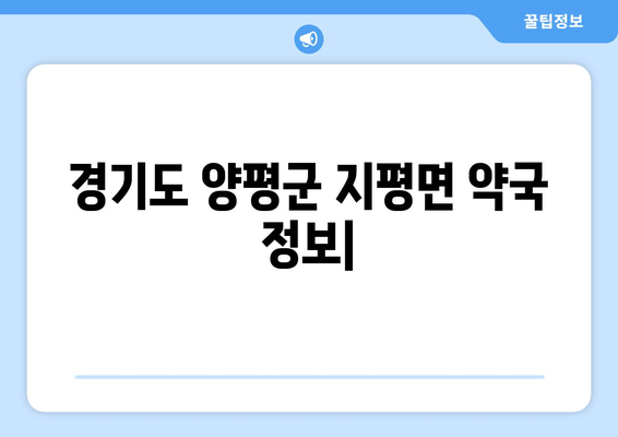 경기도 양평군 지평면 24시간 토요일 일요일 휴일 공휴일 야간 약국