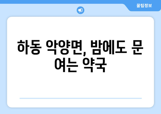 경상남도 하동군 악양면 24시간 토요일 일요일 휴일 공휴일 야간 약국