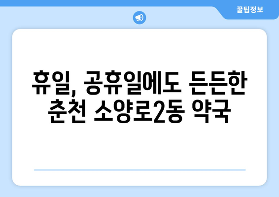 강원도 춘천시 소양로2동 24시간 토요일 일요일 휴일 공휴일 야간 약국