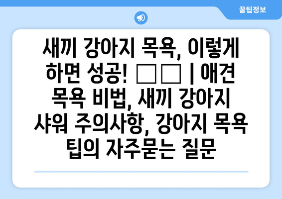 새끼 강아지 목욕, 이렇게 하면 성공! 🛁🐶 | 애견 목욕 비법, 새끼 강아지 샤워 주의사항, 강아지 목욕 팁