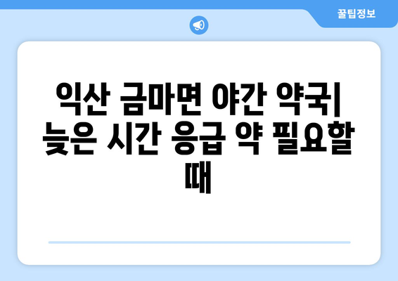 전라북도 익산시 금마면 24시간 토요일 일요일 휴일 공휴일 야간 약국