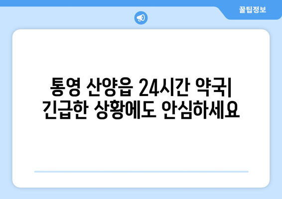 경상남도 통영시 산양읍 24시간 토요일 일요일 휴일 공휴일 야간 약국