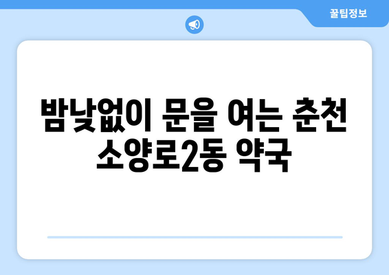 강원도 춘천시 소양로2동 24시간 토요일 일요일 휴일 공휴일 야간 약국