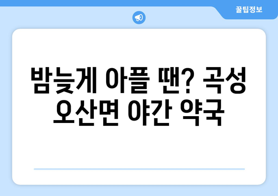 전라남도 곡성군 오산면 24시간 토요일 일요일 휴일 공휴일 야간 약국