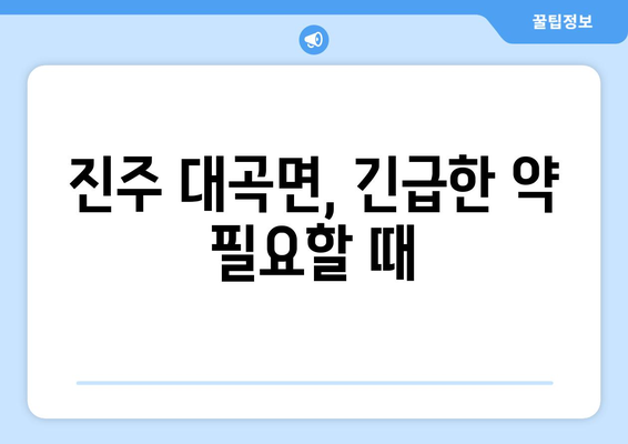 경상남도 진주시 대곡면 24시간 토요일 일요일 휴일 공휴일 야간 약국