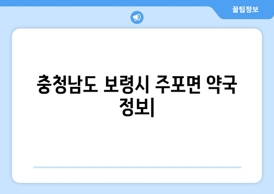 충청남도 보령시 주포면 24시간 토요일 일요일 휴일 공휴일 야간 약국