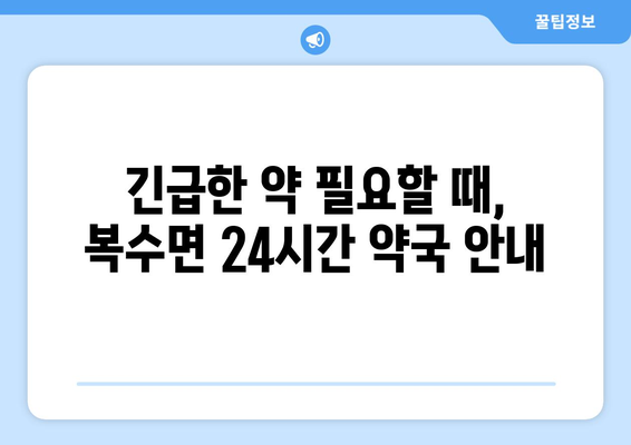 충청남도 금산군 복수면 24시간 토요일 일요일 휴일 공휴일 야간 약국