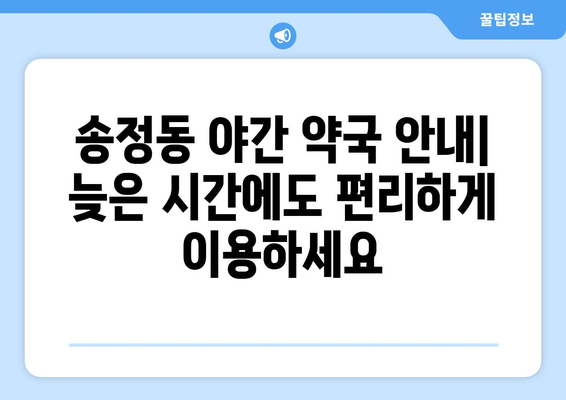 서울시 성동구 송정동 24시간 토요일 일요일 휴일 공휴일 야간 약국